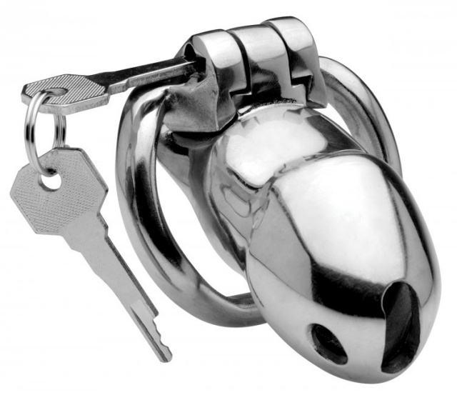 Rikers 24-7 Stainless Steel Locking Chasity Cage