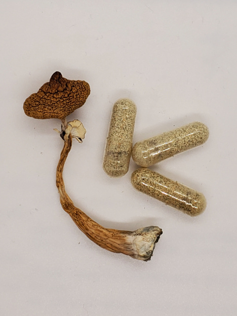 Golden Teachers Mushroom Micro-Dosing Capsules 3 per pack
